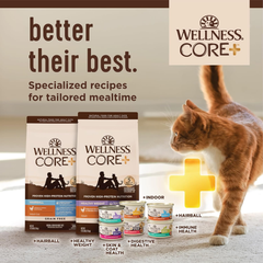 Wellness CORE+ Adult Dry Cat Food for Indoor & Outdoor Cats, Grain Free, Natural, Healthy Weight, Chicken and Chicken Meal