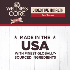 Wellness CORE Digestive Health Beef Grain Free Wet Dog Food