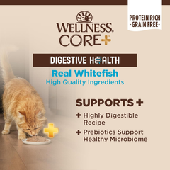 Wellness CORE+ Digestive Health Pate Adult Wet Cat Food, Natural, Protein-Rich, Grain Free (Whitefish)