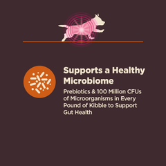 Wellness CORE Digestive Health Dry Dog Food with Wholesome Grains, Highly Digestible, for Dogs with Sensitive Stomachs, Made in USA with Real Protein (Small Breed, Chicken & Brown Rice)