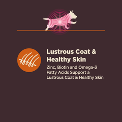 Wellness CORE Digestive Health Dry Dog Food with Wholesome Grains, Highly Digestible, for Dogs with Sensitive Stomachs, Made in USA with Real Protein (Small Breed, Chicken & Brown Rice)