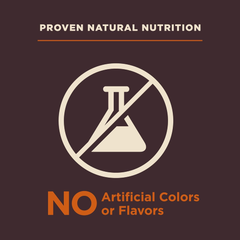 Wellness CORE Digestive Health Dry Dog Food with Wholesome Grains, Highly Digestible, for Dogs with Sensitive Stomachs, Made in USA with Real Protein (Small Breed, Chicken & Brown Rice)