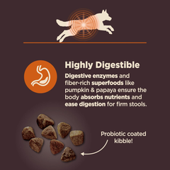 Wellness CORE Digestive Health Dry Dog Food with Wholesome Grains, Highly Digestible, for Dogs with Sensitive Stomachs, Made in USA with Real Chicken