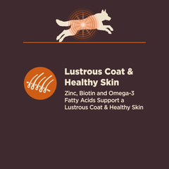 Wellness CORE Digestive Health Dry Dog Food with Wholesome Grains, Highly Digestible, for Dogs with Sensitive Stomachs, Made in USA with Real Chicken