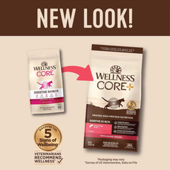 Wellness CORE+ Adult Dry Cat Food for Indoor and Outdoor Cats, Wholesome Grains, Natural, Digestive Health Salmon & Rice