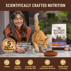 Wellness CORE+ Adult Dry Cat Food for Indoor and Outdoor Cats, Wholesome Grains, Natural, Digestive Health Salmon & Rice