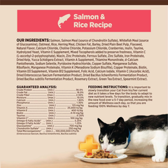 Wellness CORE+ Adult Dry Cat Food for Indoor and Outdoor Cats, Wholesome Grains, Natural, Digestive Health Salmon & Rice