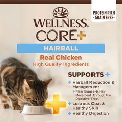 Wellness CORE+ Hairball Adult Dry Cat Food for Indoor & Outdoor Cats, Grain Free, Natural, Chicken and Chicken Meal