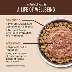 Wellness CORE+ Hairball Adult Dry Cat Food for Indoor & Outdoor Cats, Grain Free, Natural, Chicken and Chicken Meal