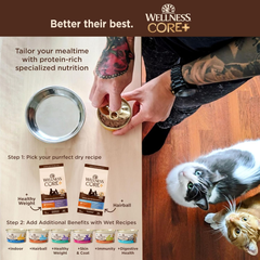 Wellness CORE+ Hairball Adult Dry Cat Food for Indoor & Outdoor Cats, Grain Free, Natural, Chicken and Chicken Meal