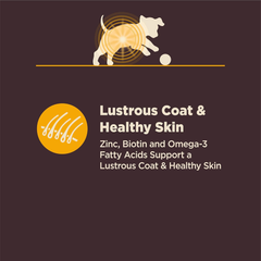 Wellness CORE Digestive Health Sensitive Stomach Chicken with Grains Dry Puppy Food