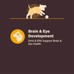 Wellness CORE Digestive Health Sensitive Stomach Chicken with Grains Dry Puppy Food