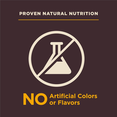 Wellness CORE Digestive Health Sensitive Stomach Chicken with Grains Dry Puppy Food