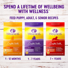 Wellness Complete Health Dry Dog Food with Grains, Natural Ingredients, Made in USA with Real Meat, All Breeds, For Adult Dogs (Healthy Weight - Chicken & Potatoes)