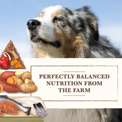 Whole Earth Farms Natural Grain Free Dry Kibble, Wholesome And Healthy Dog Food, Salmon And Whitefish Recipe