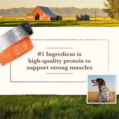 Whole Earth Farms Natural Grain Free Dry Kibble, Wholesome And Healthy Dog Food, Salmon And Whitefish Recipe