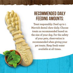 Merrick Fresh Kisses Natural Dental Chews, Toothbrush Treat Shape Infused With Real Mint, Small Dogs
