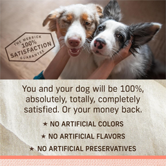 Merrick Limited Ingredient Diet Premium And Natural Kibble With Healthy Grains, Salmon And Brown Rice Dog Food