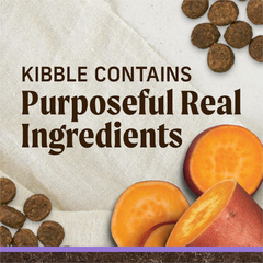 Merrick Premium Grain Free Dry Puppy Food, Wholesome and Natural Kibble with Real Texas Beef and Sweet Potato