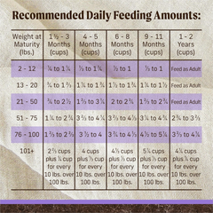 Merrick Premium Grain Free Dry Puppy Food, Wholesome and Natural Kibble with Real Texas Beef and Sweet Potato