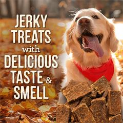 Merrick Dog Jerky, Slow Cooked BBQ Beef Jerky Dog Treats, Texas Style Glazed Jerky Strips