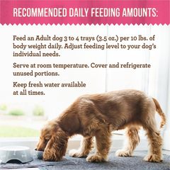 Merrick Lil’ Plates Grain Free Dinner Duos Soft Natural Wet Small Dog Food Variety Pack, Beef and Chicken