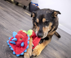 goDog Dinos Frills Squeaky Plush Dog Toy, Chew Guard Technology - Red