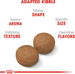 Royal Canin Large Breed Adult Dry Dog Food