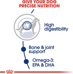 Royal Canin Large Breed Adult Dry Dog Food