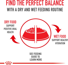 Royal Canin Large Breed Adult Dry Dog Food