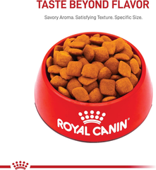 Royal Canin Golden Retriever Adult Dry Dog Food