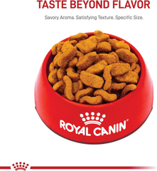 Royal Canin Bulldog Adult Dry Dog Food