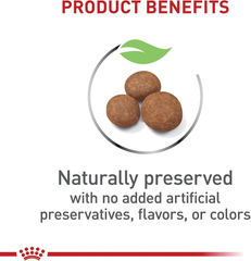 Royal Canin Size Health Nutrition Dry Large Breed Puppy Food, Supports Brain Development, Immune Support and Digestive Health