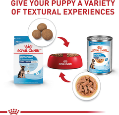 Royal Canin Size Health Nutrition Dry Large Breed Puppy Food, Supports Brain Development, Immune Support and Digestive Health