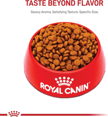 Royal Canin Size Health Nutrition Dry Large Breed Puppy Food, Supports Brain Development, Immune Support and Digestive Health