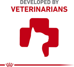 Royal Canin Adult Feline Health Nutrition Instinctive Thin Slices in Gravy Canned Wet Cat Food