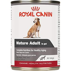 Royal Canin Canine Health Nutrition Mature Adult in Gel Wet Dog Food