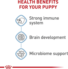 Royal Canin Size Health Nutrition Large Puppy Dry Dog Food