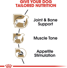 Royal Canin Dachshund Adult Breed Specific Wet Dog Food