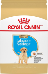 Royal Canin Breed Health Nutrition Labrador Retriever Puppy Dry Dog Food