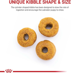 Royal Canin Breed Health Nutrition Labrador Retriever Puppy Dry Dog Food