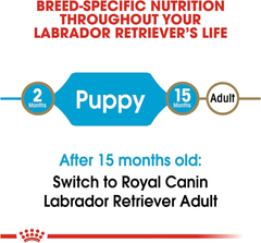 Royal Canin Breed Health Nutrition Labrador Retriever Puppy Dry Dog Food