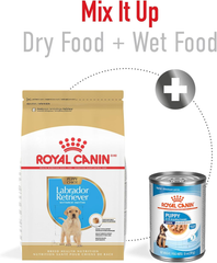 Royal Canin Breed Health Nutrition Labrador Retriever Puppy Dry Dog Food