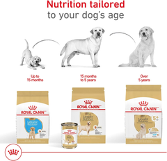 Royal Canin Breed Health Nutrition Labrador Retriever Puppy Dry Dog Food