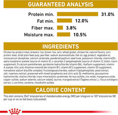 Royal Canin Breed Health Nutrition Labrador Retriever Puppy Dry Dog Food