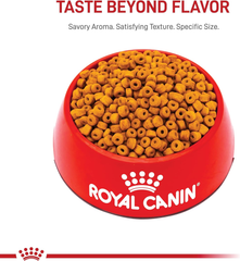 Royal Canin Breed Health Nutrition Labrador Retriever Puppy Dry Dog Food