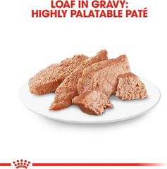 Royal Canin Chihuahua Adult Breed Specific Loaf in Sauce Dog Food