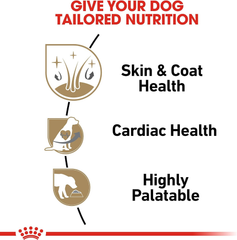 Royal Canin Shih Tzu Adult Breed Specific Wet Dog Food