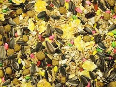 Higgins Group Imperial Tiel