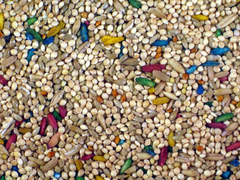 Higgins Imperial Parakeet Fortified